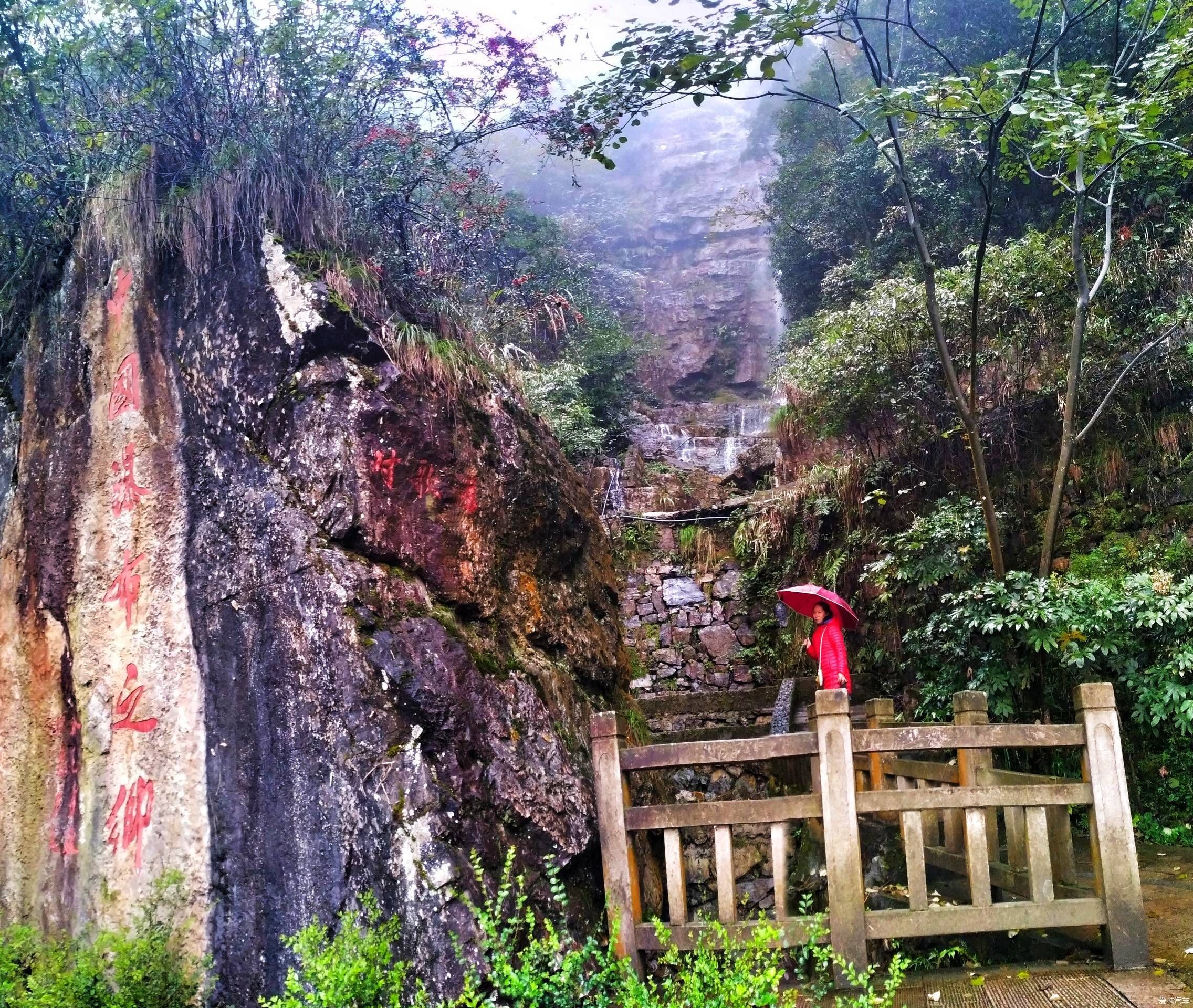 宿营|【熊迹】宿营湿地边，黄连河看美景