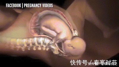 宝宝|生孩子到底有多痛?10张图告诉你:宝宝如何一步步来到这个世界