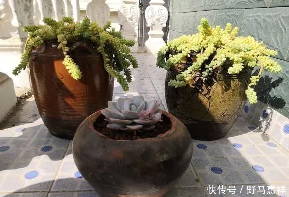 花友|花盆不用买,变废为宝做一个,比买的还好看,分分钟惊艳朋友圈