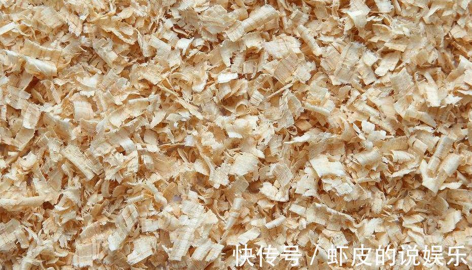 养花你还在费钱买营养土吗,在家此样做,肥效杠杠的