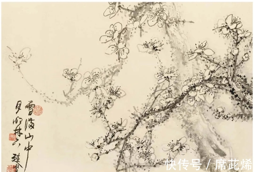 中国画#他一手花鸟得南田遗韵,清雅明丽,恰似清风徐来|陆抑非花鸟画