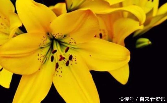 三件|做好这三件事,家庭的幸福不请自来