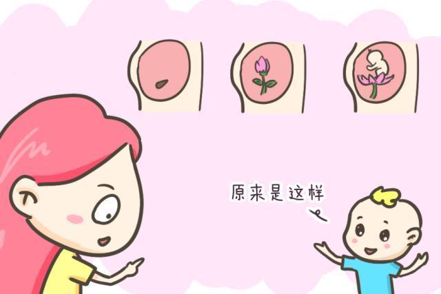 孩子|当孩子问你：妈妈，我是从哪里来的？你这样回答就对了