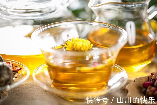 菊花茶|秋天还在乱喝茶？秋季喝什么茶最好？不妨听听医生怎么说