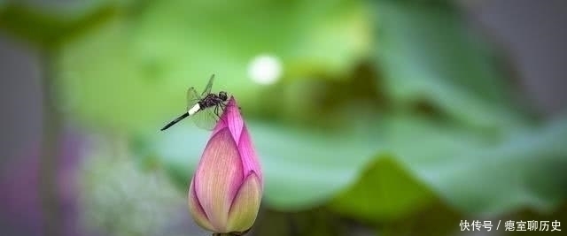 儒家文化&道德经:一个人从世俗,到得道,需要经历5层境界