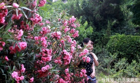 汁液|有毒植物就在我们身边，有的甚至家家户户都有，3种我家样样有