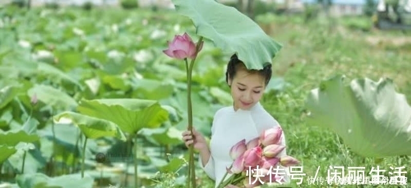 采莲曲#白居易看到采莲女害羞,当即写下一首诗,通篇描写得生动有趣!