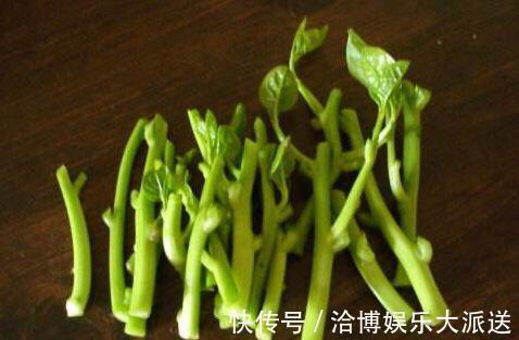 木耳菜|3种吃剩的“菜杆子”，丢土里，长成一片“绿萝”，3天采摘一大盆