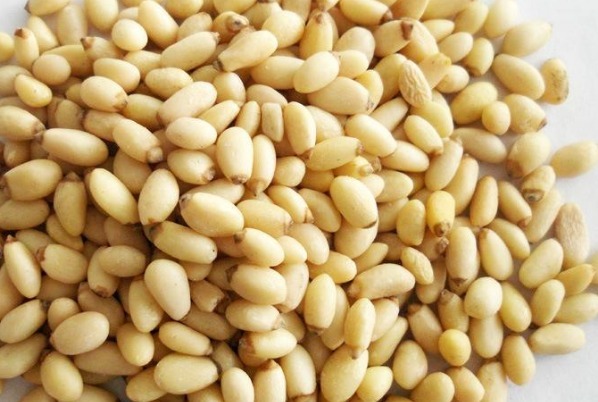 松籽仁|高血压患者吃什么零食能降血压医生告诉你,4种零食可劲的吃