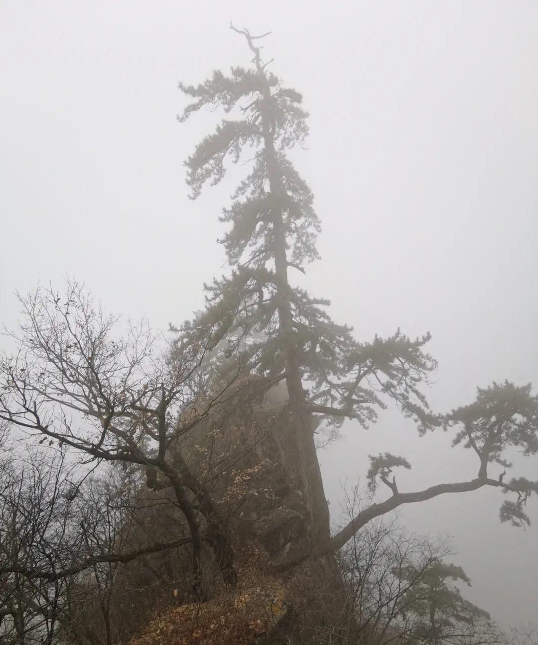 轩辕黄帝|被誉为“中华道教第一山”，轩辕黄帝曾在这里向广成子问道