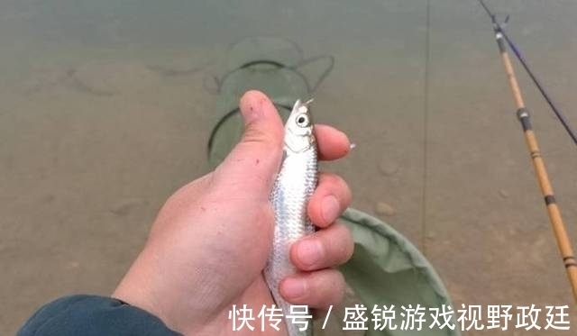 子线|钓鱼中鱼率低?与事俱进懂不!不看看你还想继续空军吗?