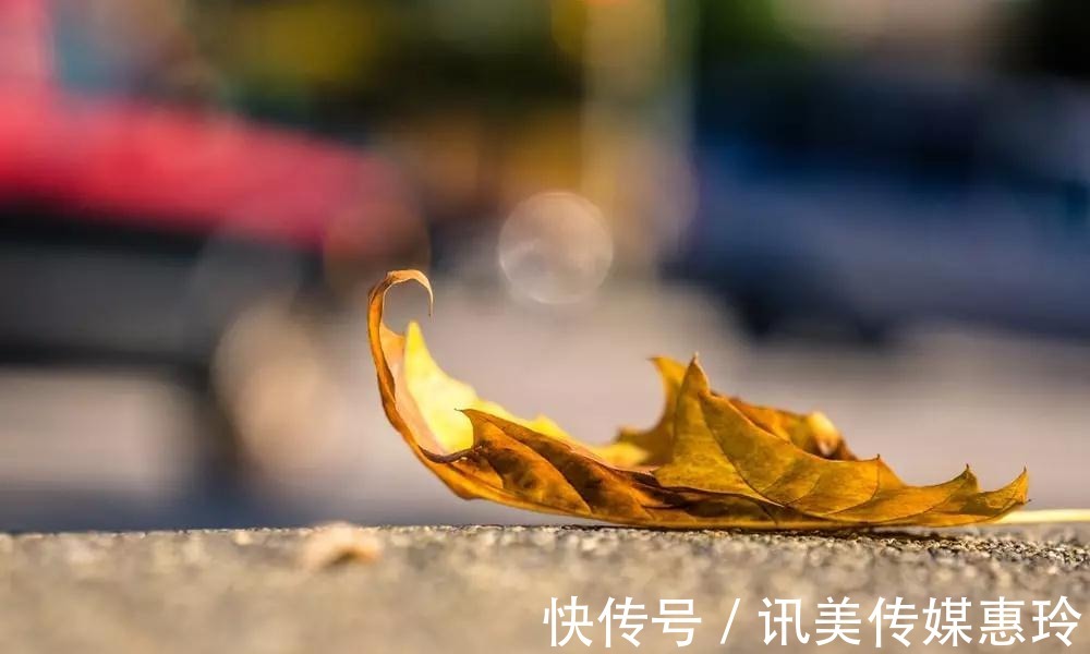 耕田|人品好的人,从不说这三句话