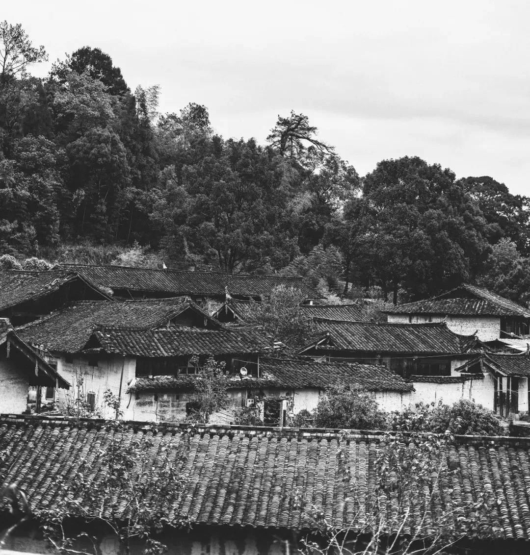 在200年前的土楼里生活，厨房门前是3片菜地，屋前荷花池，院外桂花树