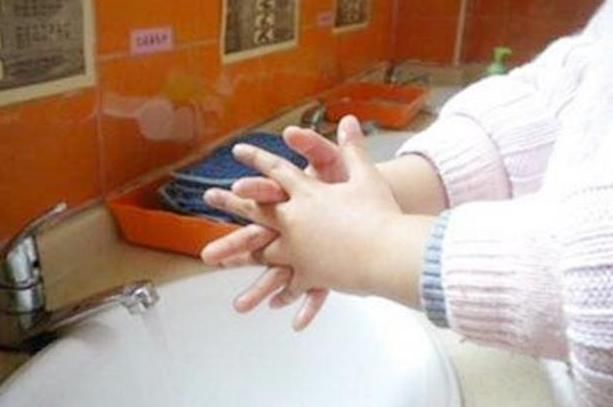 宠物|梳头发现小米粒,爸爸急忙带女儿去医院,医生:还好来得及时