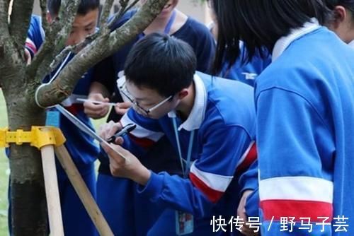 孩子|学生具备这4项能力,很可能是“富贵命”,家长将来可能有福了