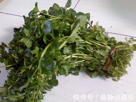 枸杞|入秋后每周吃一次此物,化痰又润肺,常吃身体好!