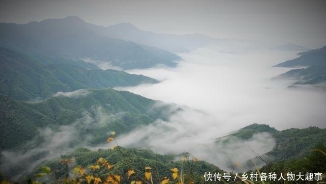 风景这边独好——毛泽东主席的井冈山情结