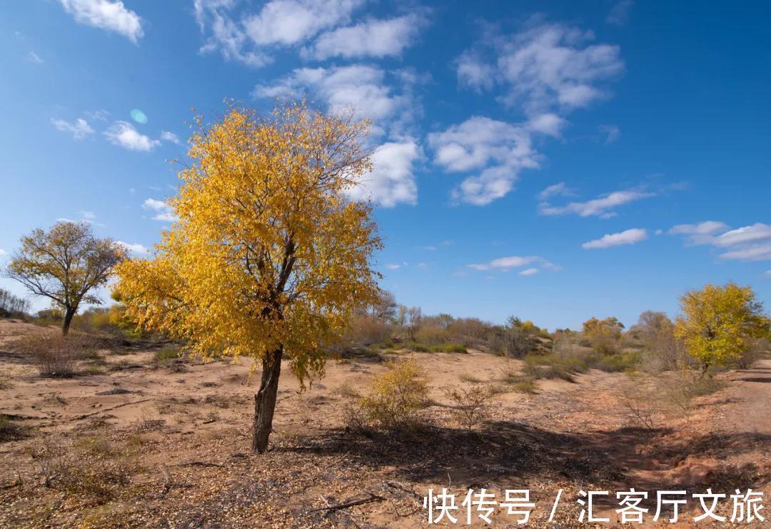 宁夏|中国版“摩洛哥”，秋天美如童话，却少有人问津