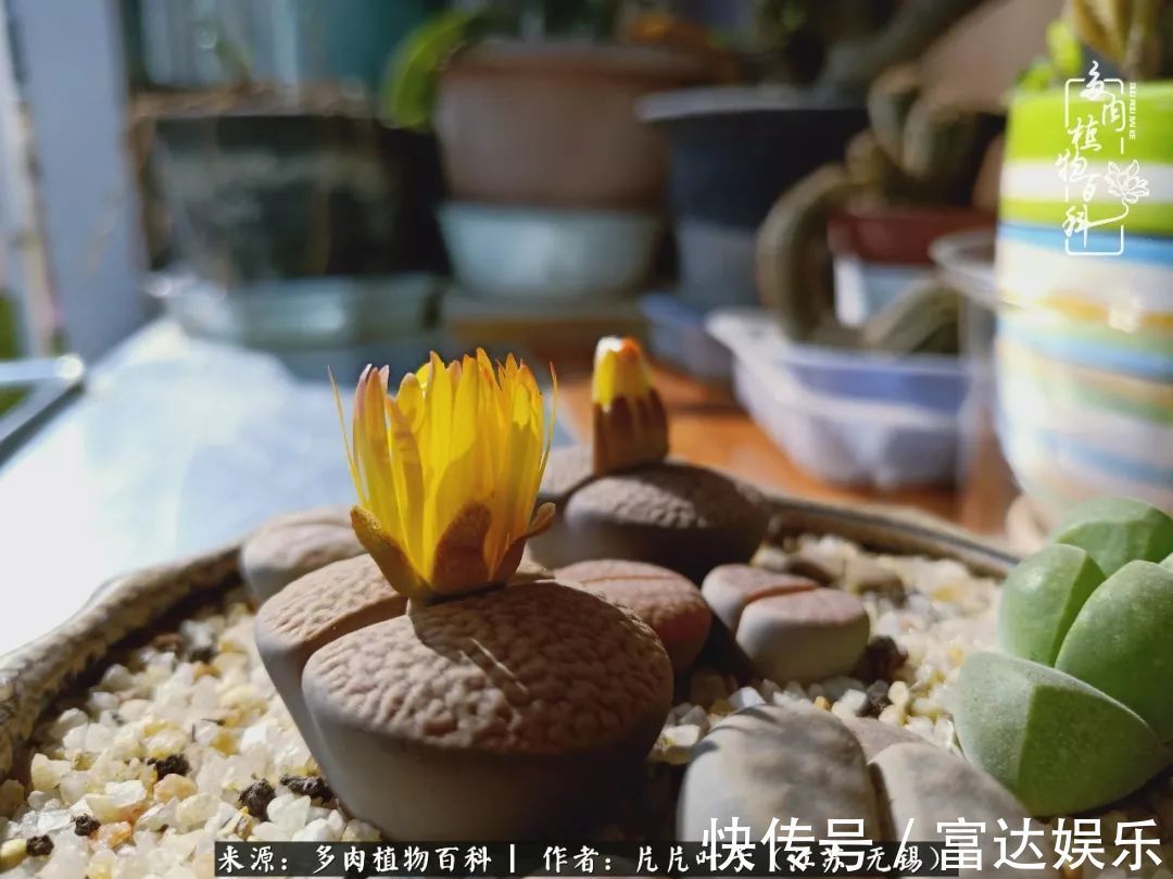 养肉路上，累并快乐着！时光不语，静待花开！