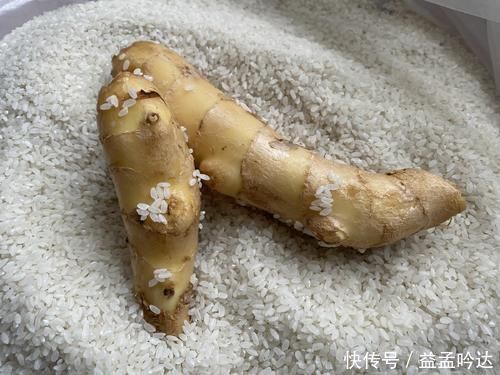 生姜放久了容易干瘪？姜农教你2招，不管放多久不干瘪不发芽