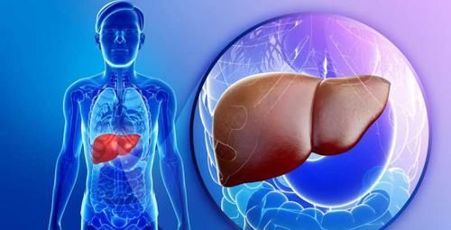 肝不好的人，平时多吃6种食物，排毒解毒，肝脏或越来越健康