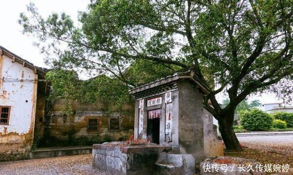 榕树风水的寓意