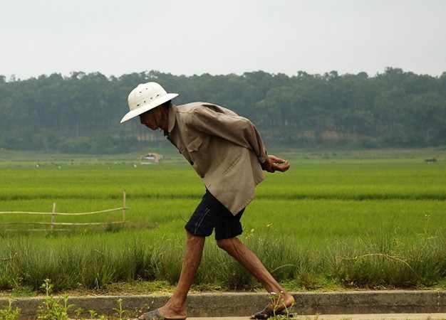 钙片|吃一口相当于2瓶钙片,若你爱吃,骨骼一天比一天强壮
