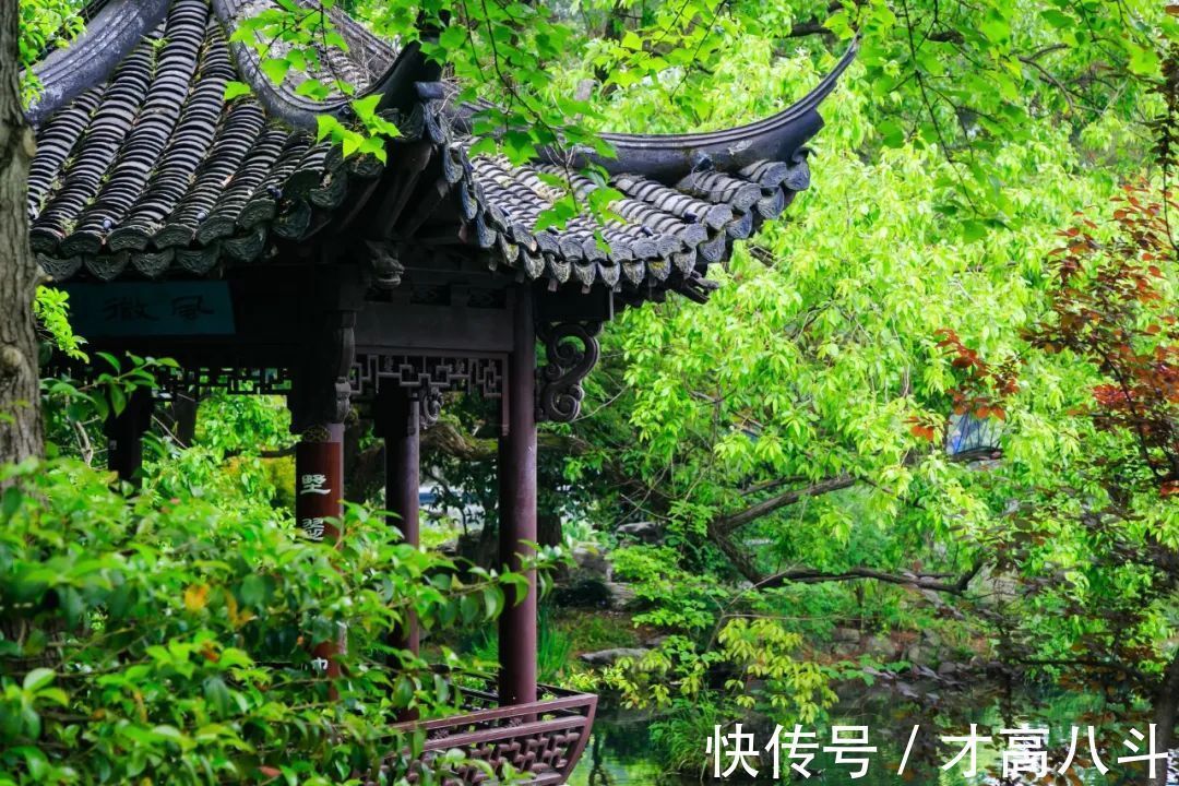 怀古#25首经典怀古诗词,荡气回肠,穿透古今,每一首都值得背下来