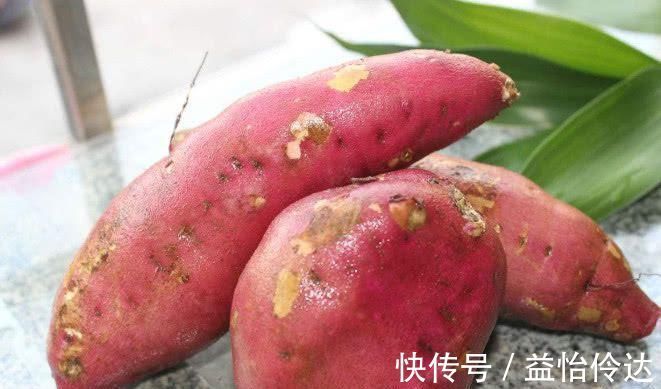 祛湿|湿气不除百病生, 常吃这几种食物, 帮你祛湿排毒, 身体更健康