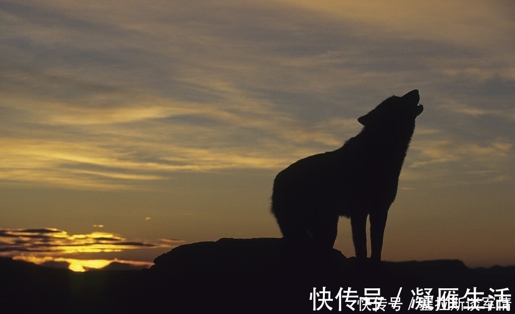 西游记|它是西域古国,也是《西游记》中乌鸡国的原型,境内真有流沙河