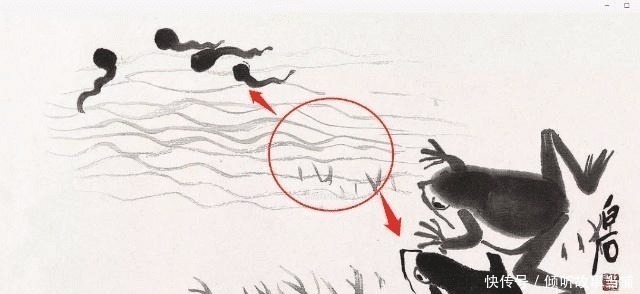 小蝌蚪&齐白石画几只蝌蚪为何成名放大“3.14倍”后,发现了4维空间