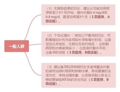 C级证据|孕期叶酸怎么吃？吃多久？权威解答来了！