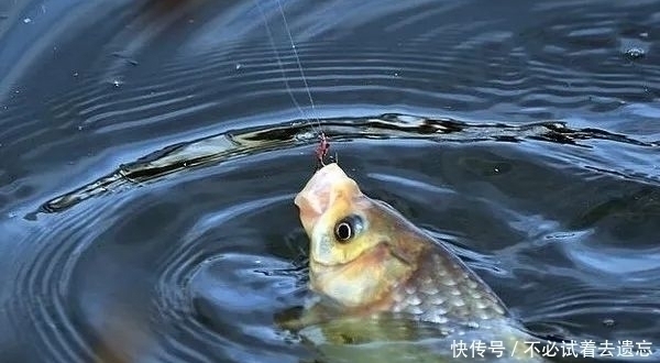 小雨|钓鱼经验总结，在阴雨天钓鱼的经验，帮助你钓到更多鱼——盛世三渔