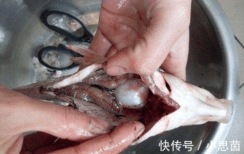 鱼汤|做鱼汤放冷水还是放热水? 放错了就满屋子的鱼腥味! 速度学习!