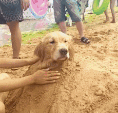 |搞笑GIF:兄弟,你的三蹦子为什么这么优秀?这走位不错啊