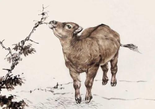 耕牛过时了吗?读两首诗词,看诗人笔下的老牛