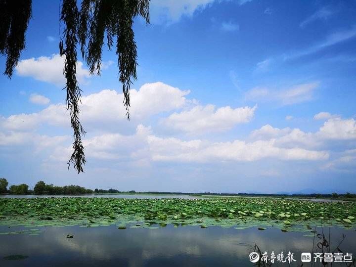 蓝天|最美盛夏，济南东郊出现靓丽蓝天彩云