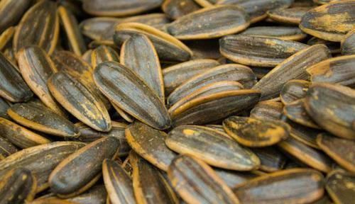 退休院士亲历甘油三酯31,戒掉两种食物以后,血脂自己降了