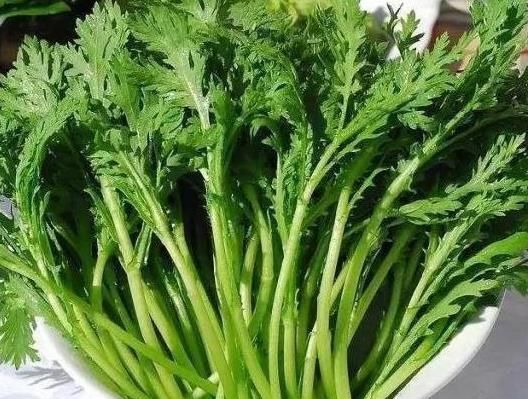 它叫“皇帝菜”,3元买一把,清热清脂,助睡眠,多吃补钙又补铁