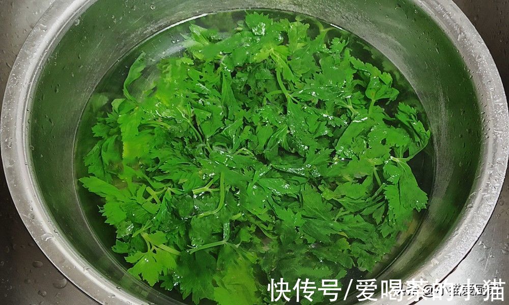 芹菜叶是个宝，丢掉可惜了，教你个特色吃法，清香爽口给肉不换