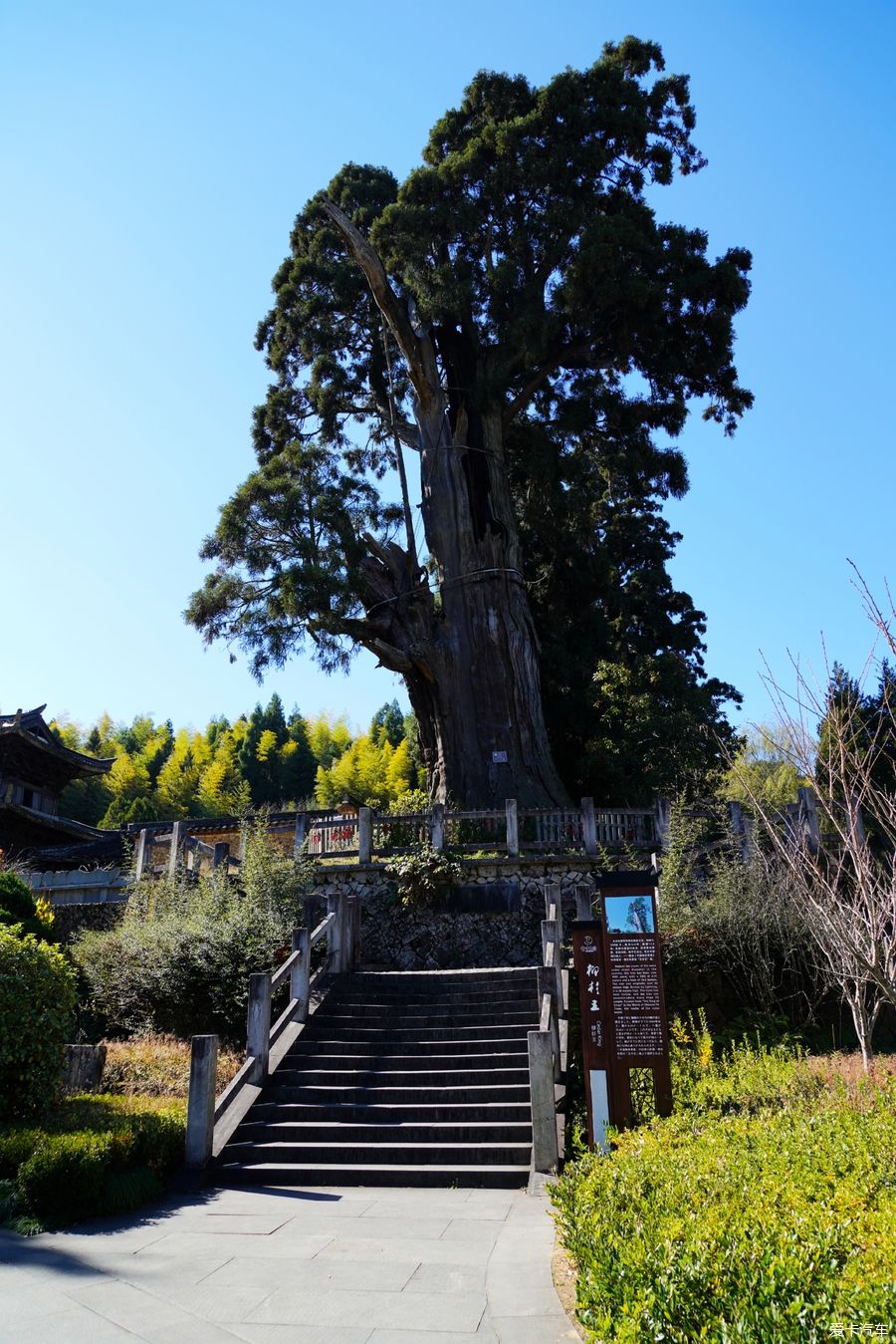 时思寺|浙江行（12）---时思寺