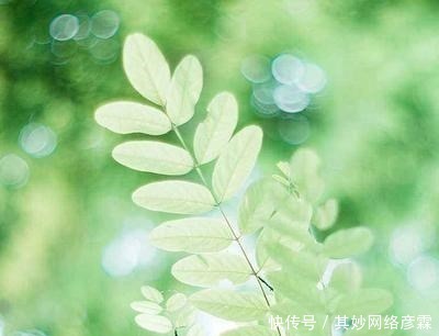  格律|如何用“朝花夕拾”写与众不同的藏头诗？