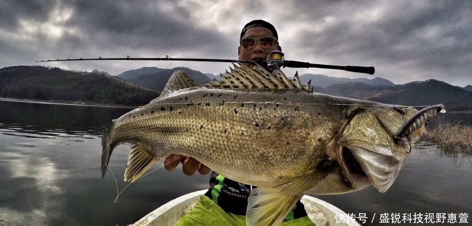 新手|夏天钓鲈鱼用上这两招,下竿就上鱼!新手多读几遍——盛世三渔