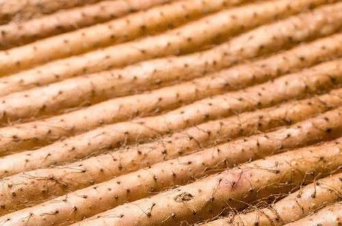 患上糖尿病|患上糖尿病,别光顾着吃药,多吃这几种食物,血糖稳稳降下来