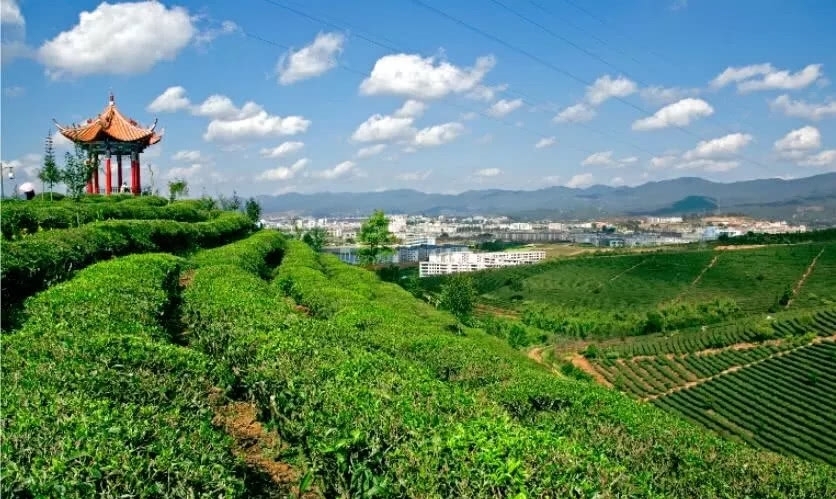 小城市|云南有个宜居小城市，有“绿海明珠”的美誉，不是昆明不是大理