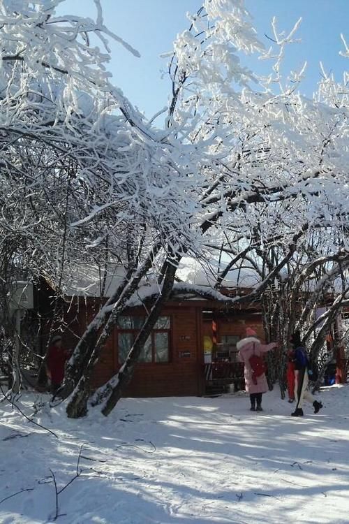 陕西省汉中龙头山赏雪之旅，游记感受！