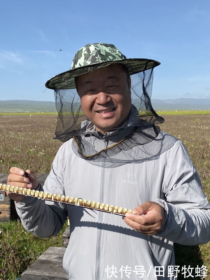 夏天|蜂王浆夏天怎么保存？蜂王浆怎么放？