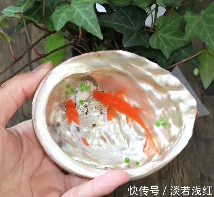 树脂画|他笔下的鱼“活”了，仿佛在游动，独特的3D树脂艺术令人惊叹