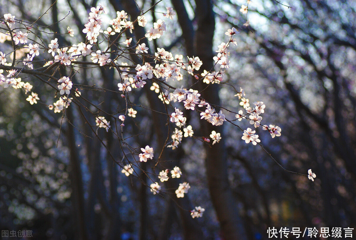  桃源|张旭《桃花溪》，世路多险阻，何处寻桃源