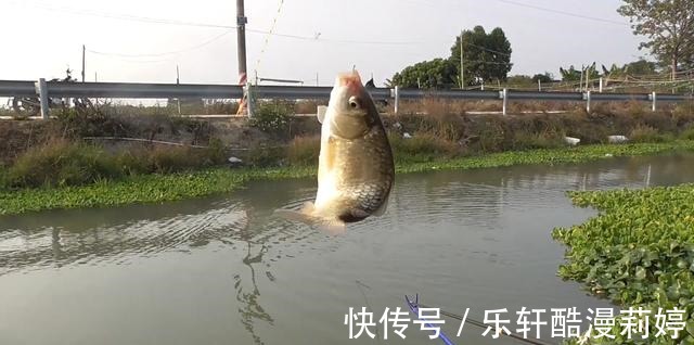 同样是冬钓鲫鱼，为啥别人能调出大顿口老手做好三个细节即可